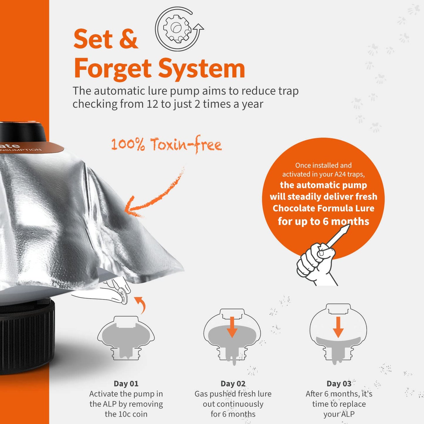 6 Month Replenishment Pack - Chocolate