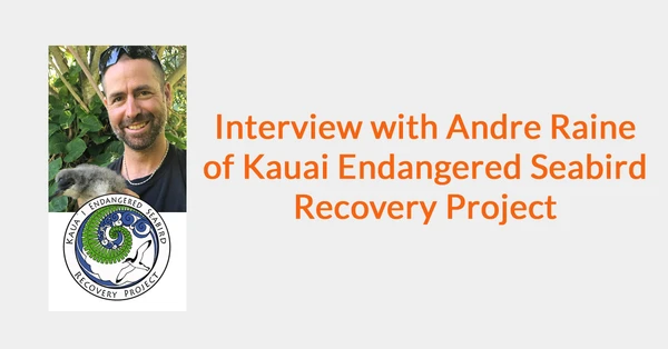 Interview with Andre Raine of Kauai Endangered Seabird Recovery Project