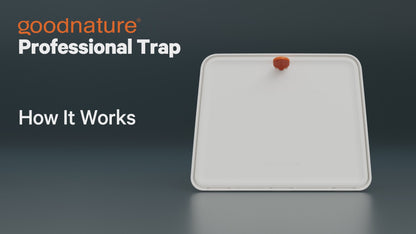 A24 Professional Trapping Kit